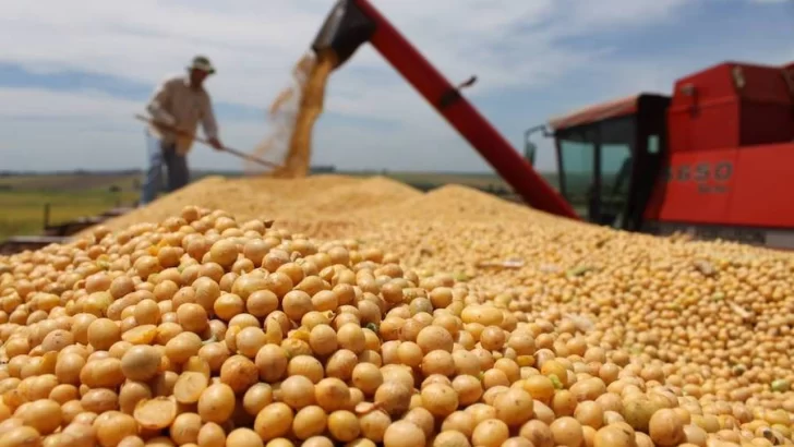 El precio internacional de la soja vuelve a superar los US$ 600 por tonelada