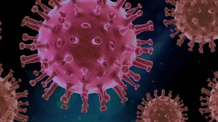 Preocupación en la comunidad científica por una nueva subvariante del coronavirus
