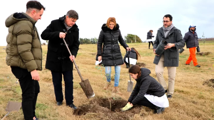 Avanza la forestación en el exbasural municipal