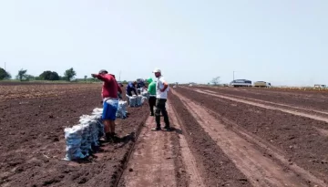 El Renatre aumentó la Prestación por Desempleo