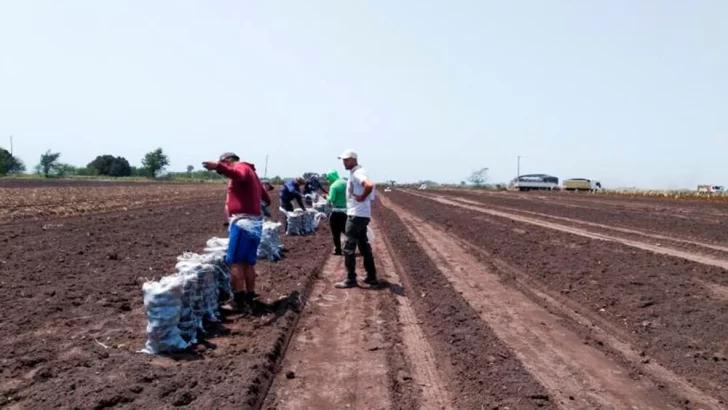 El Renatre aumentó la Prestación por Desempleo