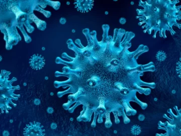 Un fármaco antiparasitario que se vende en todo el mundo podría eliminar al coronavirus en 48 horas