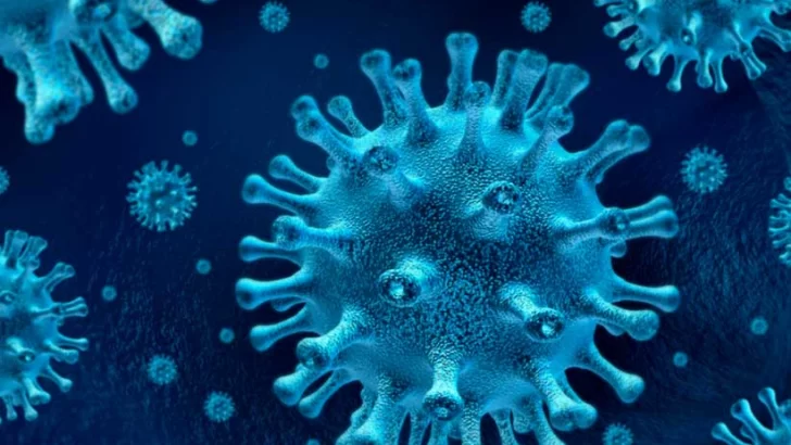 Aumento de positivos de coronavirus: detectaron 62 nuevos casos y 272 contagios activos