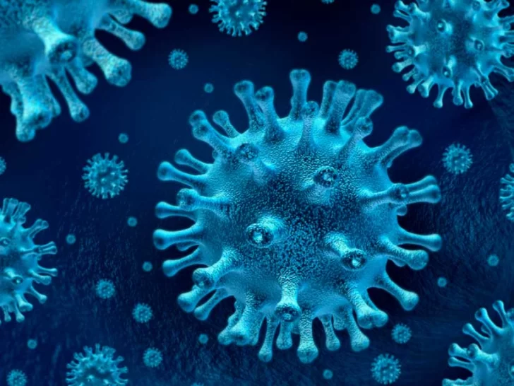 Aumento de positivos de coronavirus: detectaron 62 nuevos casos y 272 contagios activos