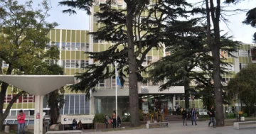 Necochenses afectados por paro en la Universidad de Mar del Plata