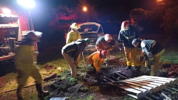 Bomberos logran rescatar dos perros que cayeron en un pozo de más de 8 metros