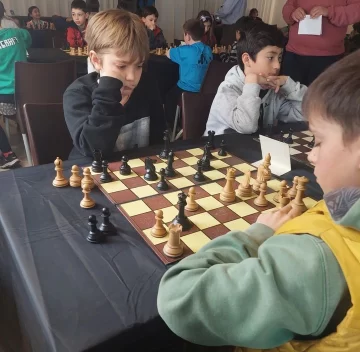 ¿Dónde tomar clases de ajedrez con los que saben?