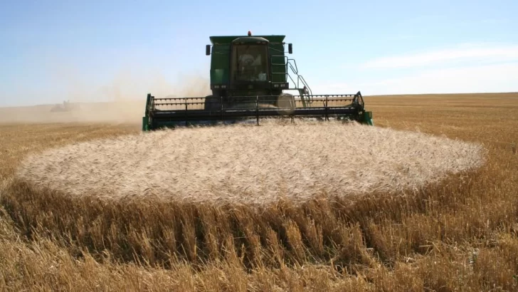 China empezará a comprar trigo argentino