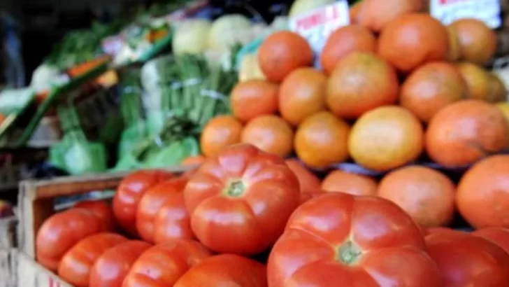 Precios del tomate alcanzan niveles récord