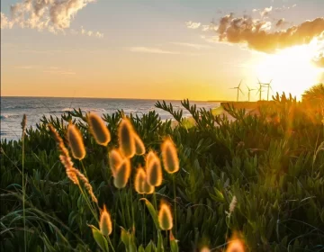 Cómo estará el tiempo este fin de semana en Necochea y Quequén