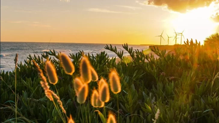 Cómo estará el tiempo este fin de semana en Necochea y Quequén