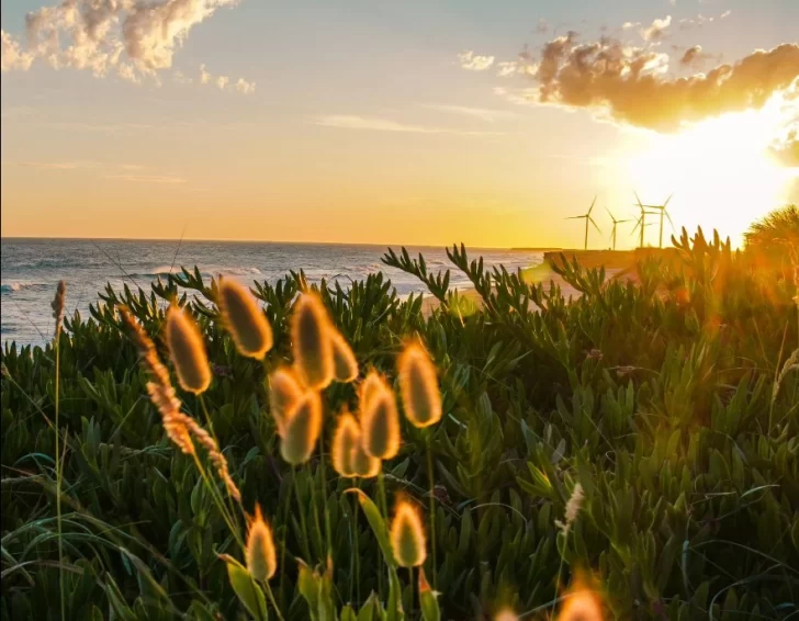 Cómo estará el tiempo este fin de semana en Necochea y Quequén