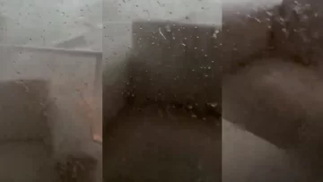 Video: a un vecino de Bahía Blanca se le voló el sillón del balcón en pleno temporal