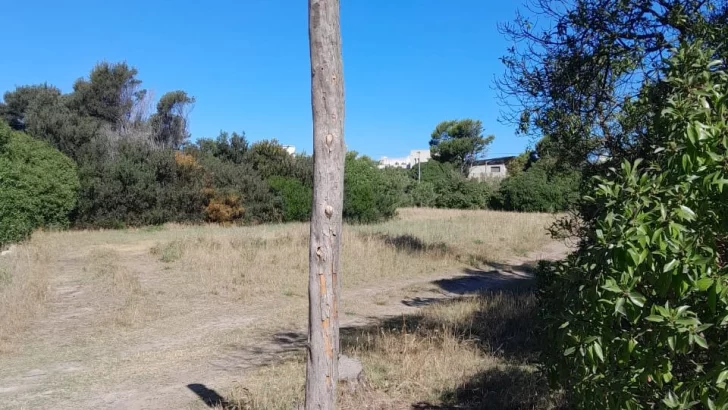 Robaron los carteles de las calles internas del Parque Miguel Lillo