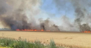 Se quemaron 10 hectáreas de rastrojo de cebada