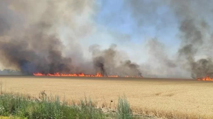 Se quemaron 10 hectáreas de rastrojo de cebada
