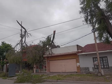 Hubo daños en 70 postes y se repararon más de 100 cables cortados