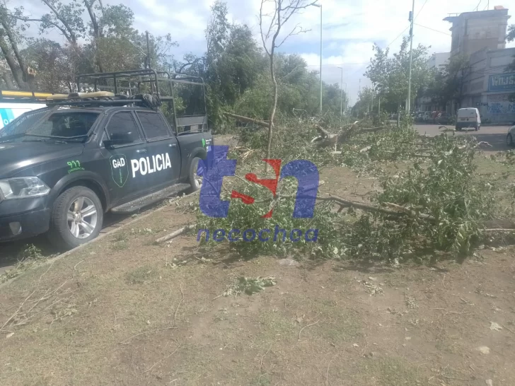 El GAD Necochea también fue a Bahía Blanca a colaborar con los afectados por el temporal