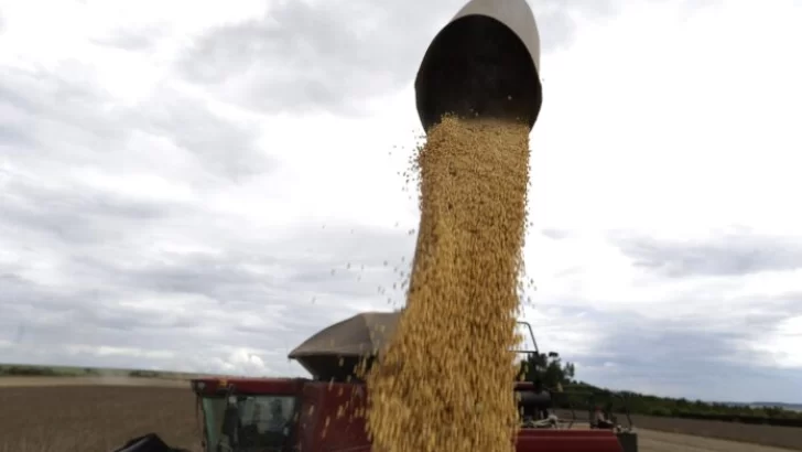 El poder de compra de los granos medido contra los fertilizantes se destruyó en las últimas semanas