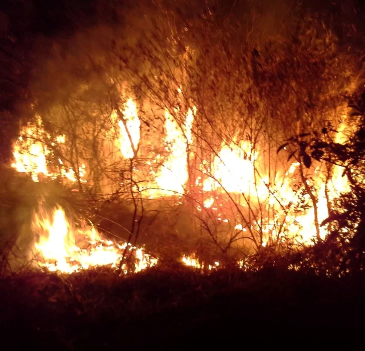 Incendio forestal en los establecimientos la Mora y Moromar