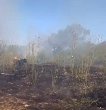 Se registra un incendio en un sector del parque Miguel Lillo