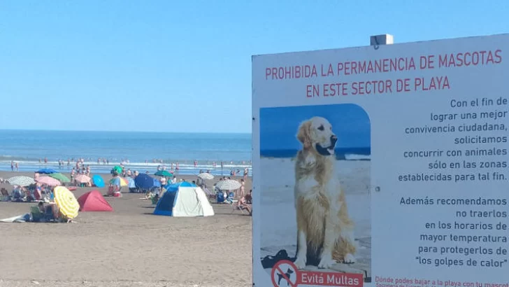 No se permite bajar con mascotas a la arena y se alerta a la gente por estafas