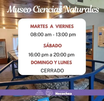 horarios-visita-museos