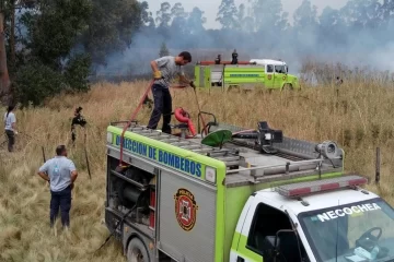 Se registraron 10 incendios forestales en los últimos 15 días