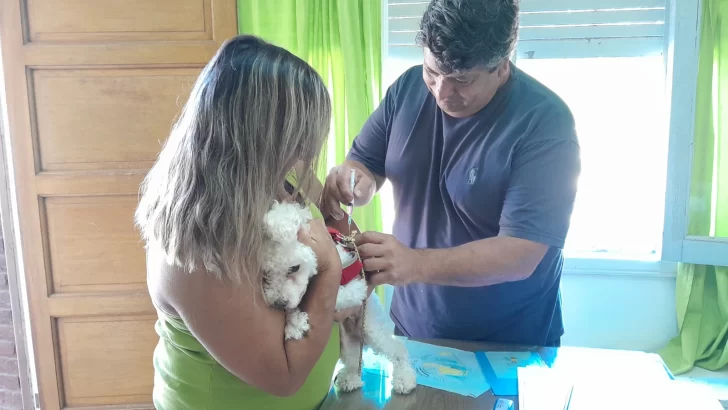 Más de 90 mascotas se vacunaron