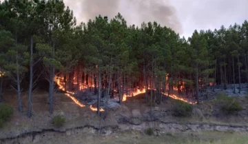 Pudieron contener el incendio en La Mora y Moromar