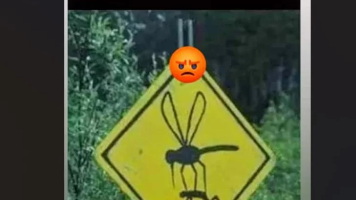 Invasión de mosquitos: los memes no tardaron en llegar
