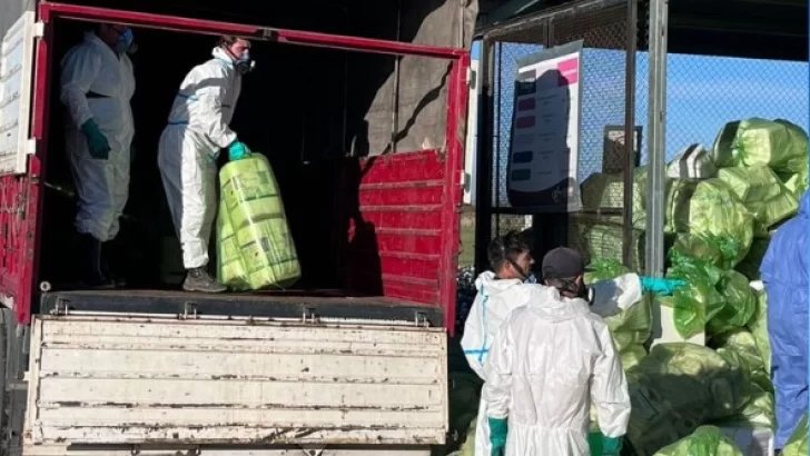 Salieron tres camiones con casi 10.000 envases de fitosanitarios