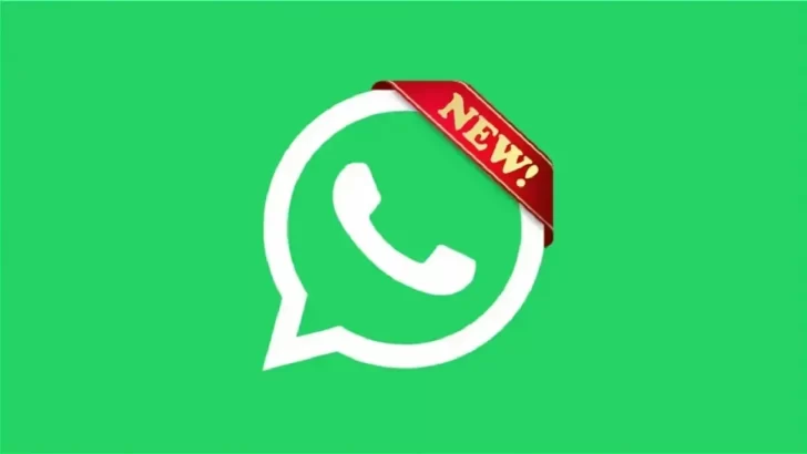 Actualización de WhatsApp: stickers, contactos favoritos y más