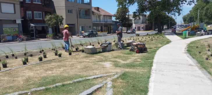 Nuevas luminarias en la plazoleta del Puerto