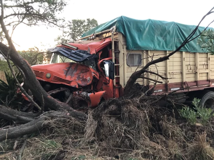 Volcó camión en cercanías del acceso a Balneario San Cayetano