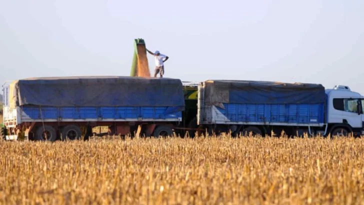 La tarifa de transporte de granos aumenta un 25 % para Buenos Aires