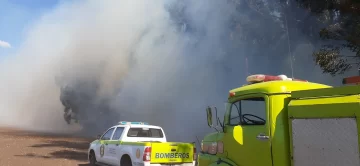 Incendio forestal: bomberos actúan rápidamente para contener las llamas