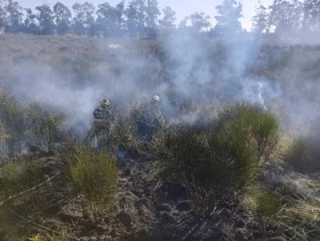 Se incendiaron más de dos hectáreas de pastizales