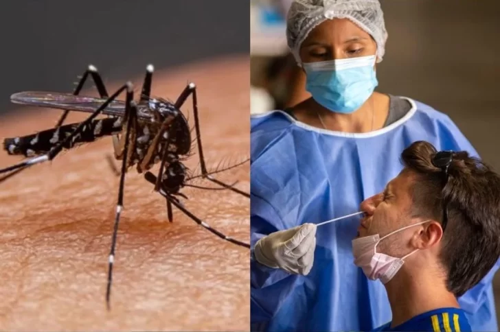 ¿Qué es el Covidengue? la combinación explosiva que preocupa a los infectólogos