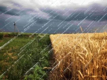 Febrero cerró con lluvias intensas en el campo, pero no alcanzaron para revertir los efectos de la ola de calor