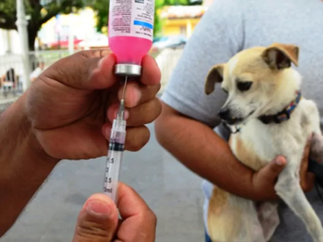 El operativo de vacunación antirrábica llega al Barrio 9 de Julio