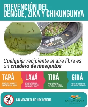 prevencion-dengue-599x728