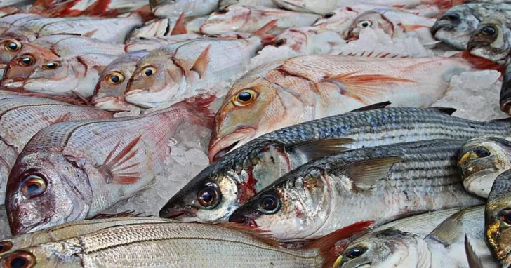 Recomendaciones de bromatología para la compra de pescado fresco
