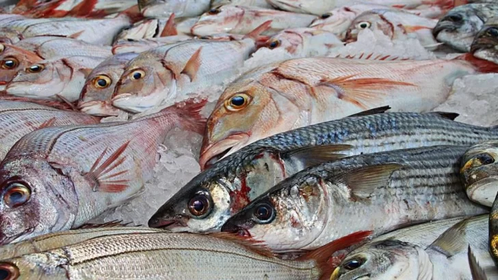 Recomendaciones de bromatología para la compra de pescado fresco