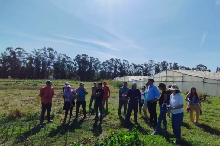 Reunión con productores de frutas y verduras