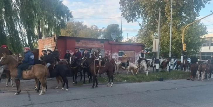 Se roban un caballo por día para faenarlo: advierten que la carne podría ser vendida en carnicerías