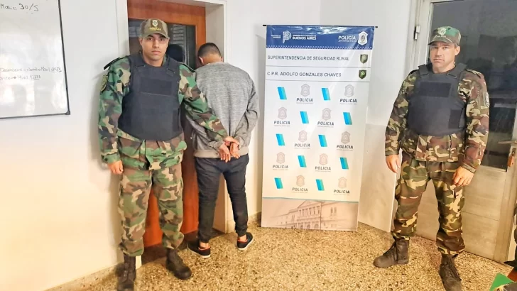 “Banda de las panzas”: ya son dos los detenidos por abigeato