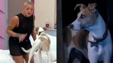 Los rescatistas de Arturo quieren sacar al perro de la casa de Gran Hermano por los episodios de violencia