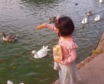 El Lago de los Cisnes fue declarado de interés turístico, educativo y cultural