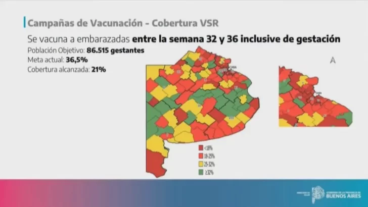 cobertura-la-vacuna-embarazadas-vs-bronquiolitispng-728x410